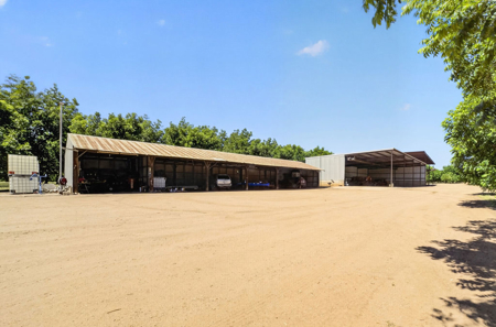 Pecan Orchard For Sale in Arizona - image 12