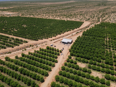 Pecan Orchard For Sale in Arizona - image 32