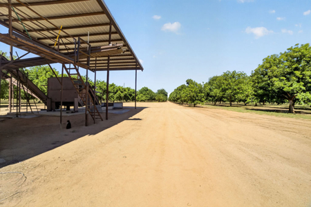 Pecan Orchard For Sale in Arizona - image 11