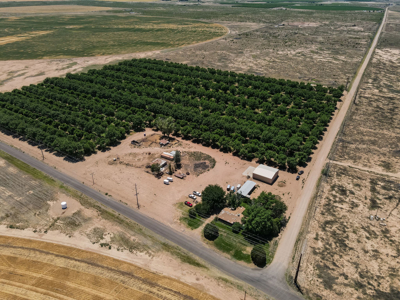 Pecan Orchard For Sale in Arizona - image 5