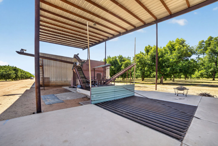 Pecan Orchard For Sale in Arizona - image 9