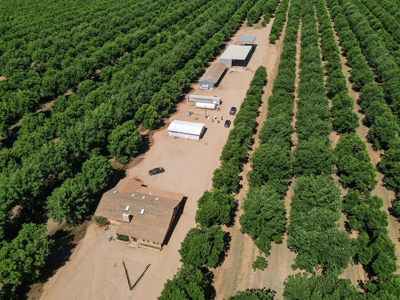 Pecan Orchard For Sale in Arizona - image 7