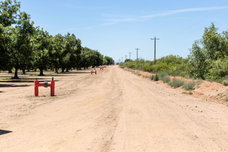 Pecan Orchard For Sale in Arizona - image 38