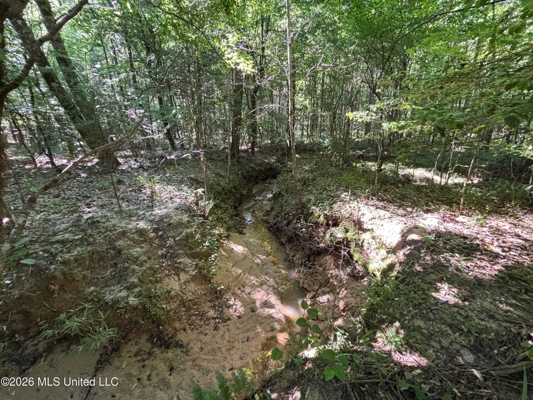 200 acres Franklin County MS Hunting Land Timber Investment