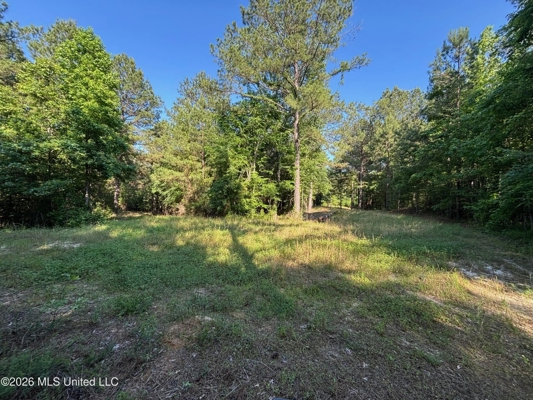 200 acres Franklin County MS Hunting Land Timber Investment