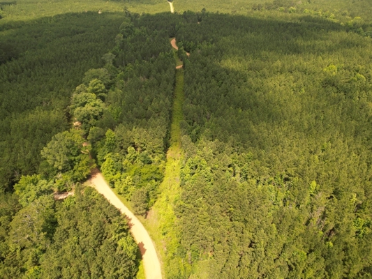 200 acres Franklin County MS Hunting Land Timber Investment