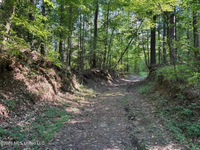 200 acres Franklin County MS Hunting Land Timber Investment - image 16
