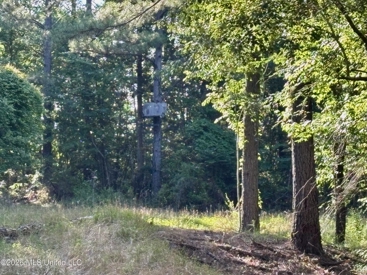 Listing 47
