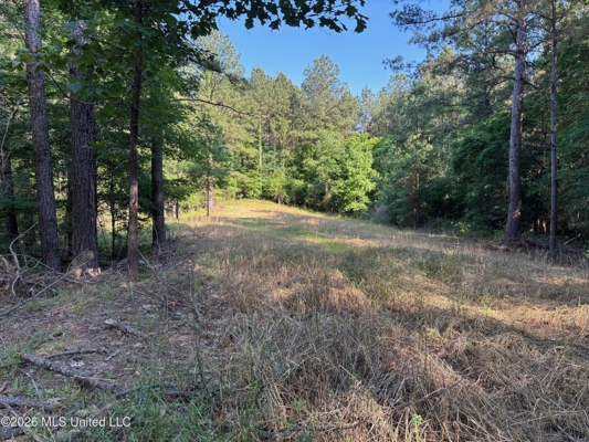 200 acres Franklin County MS Hunting Land Timber Investment