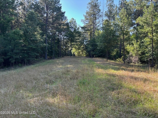 200 acres Franklin County MS Hunting Land Timber Investment