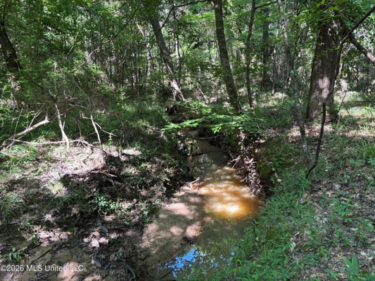 200 acres Franklin County MS Hunting Land Timber Investment