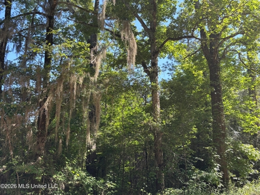 200 acres Franklin County MS Hunting Land Timber Investment