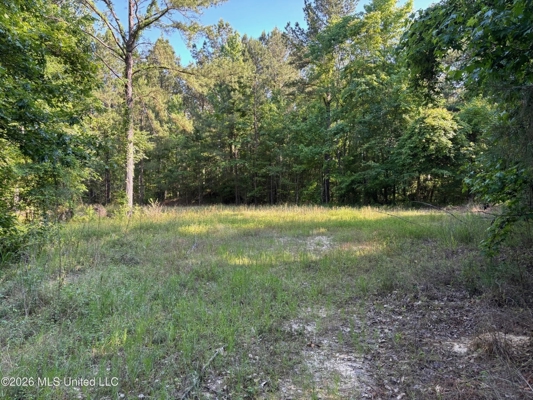 200 acres Franklin County MS Hunting Land Timber Investment