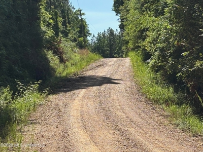 200 acres Franklin County MS Hunting Land Timber Investment - image 4