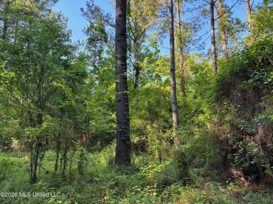 200 acres Franklin County MS Hunting Land Timber Investment