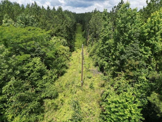 200 acres Franklin County MS Hunting Land Timber Investment