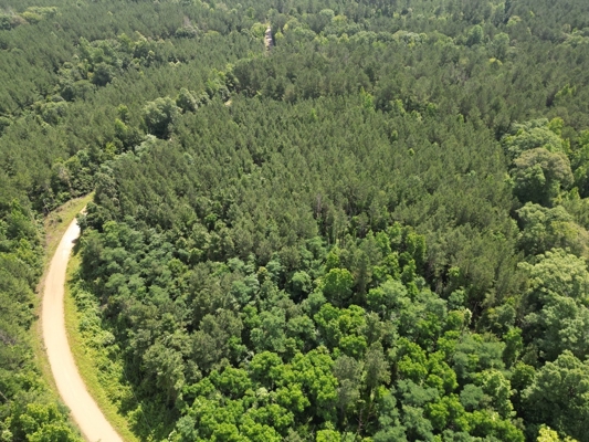 200 acres Franklin County MS Hunting Land Timber Investment