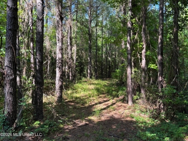 Listing 47