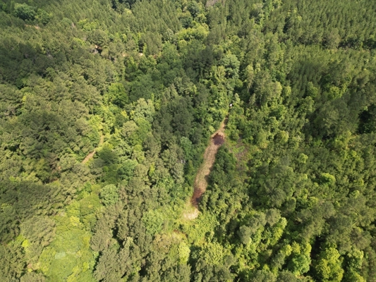 200 acres Franklin County MS Hunting Land Timber Investment