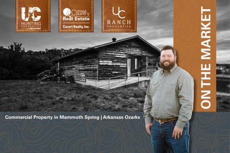 Highway 63 Commercial Property | Mammoth Spring, Arkansas - image 1
