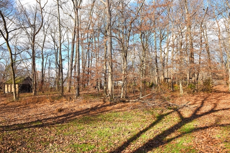 Hobby Farm on 23 Ac near Town, Large, Quality Home, Owner Finance - image 24