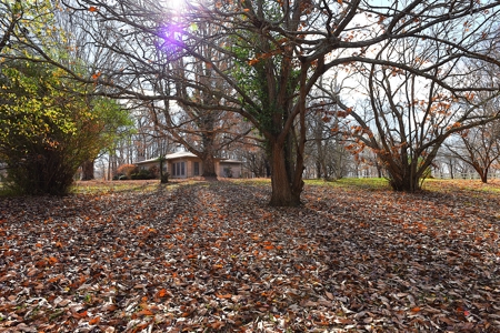 Hobby Farm on 23 Ac near Town, Large, Quality Home, Owner Finance - image 3