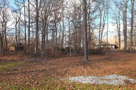 Hobby Farm on 23 Ac near Town, Large, Quality Home, Owner Finance - image 26