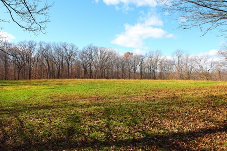 Hobby Farm on 23 Ac near Town, Large, Quality Home, Owner Finance - image 30