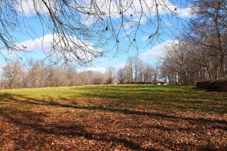 Hobby Farm on 23 Ac near Town, Large, Quality Home, Owner Finance - image 4