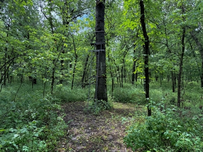 Hunting Land For Sale in Daviess County MO - image 30
