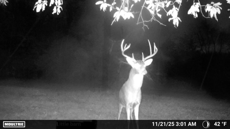 Hunting Land For Sale in Daviess County MO - image 32