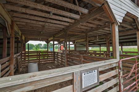 Hybrid Auction - Buy up to June 10, 2026 for $995,000.00 - image 21