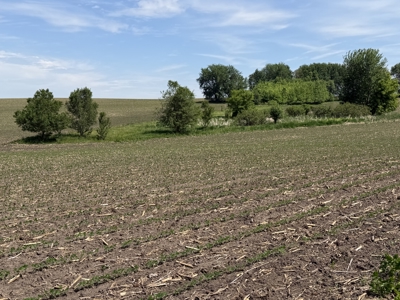 Rochester, MN Ag Land for Sale | Hwy 52 Commerical Dev Potential - image 28