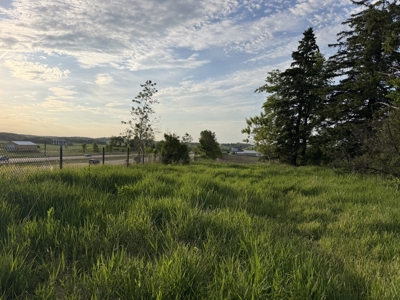 Rochester, MN Ag Land for Sale | Hwy 52 Commerical Dev Potential - image 39
