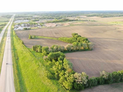 Rochester, MN Ag Land for Sale | Hwy 52 Commerical Dev Potential - image 6