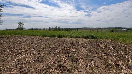 Rochester, MN Ag Land for Sale | Hwy 52 Commerical Dev Potential - image 42
