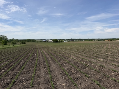 Rochester, MN Ag Land for Sale | Hwy 52 Commerical Dev Potential - image 24