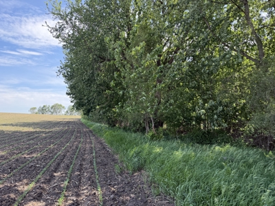 Rochester, MN Ag Land for Sale | Hwy 52 Commerical Dev Potential - image 36