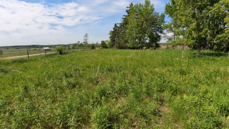 Rochester, MN Ag Land for Sale | Hwy 52 Commerical Dev Potential - image 44
