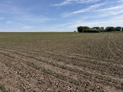 Rochester, MN Ag Land for Sale | Hwy 52 Commerical Dev Potential - image 33