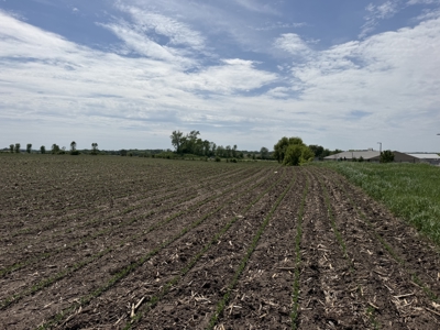 Rochester, MN Ag Land for Sale | Hwy 52 Commerical Dev Potential - image 35