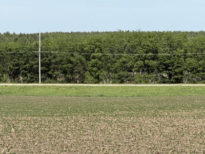 Rochester, MN Ag Land for Sale | Hwy 52 Commerical Dev Potential - image 16