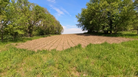 Rochester, MN Ag Land for Sale | Hwy 52 Commerical Dev Potential - image 48