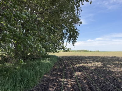 Rochester, MN Ag Land for Sale | Hwy 52 Commerical Dev Potential - image 37