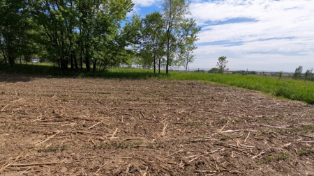 Rochester, MN Ag Land for Sale | Hwy 52 Commerical Dev Potential - image 43