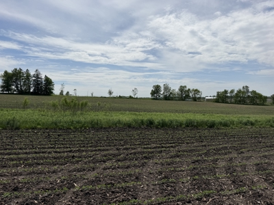 Rochester, MN Ag Land for Sale | Hwy 52 Commerical Dev Potential - image 23