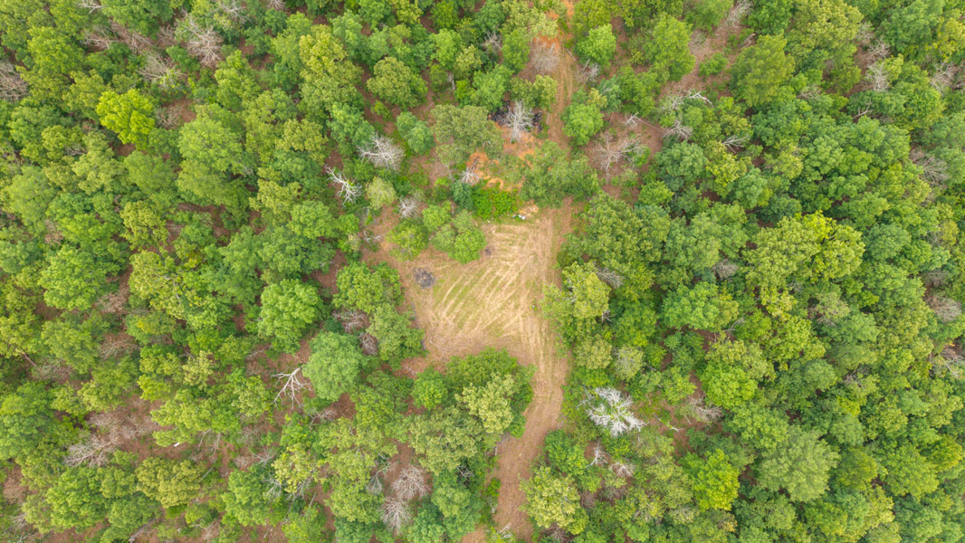 No Caption