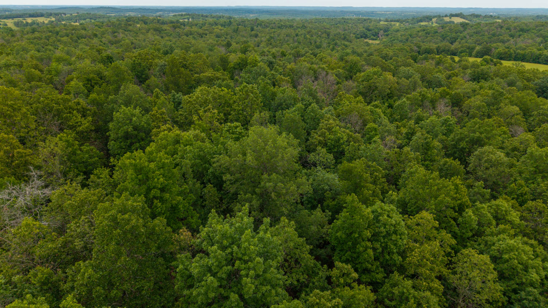 No Caption