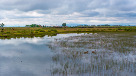 Colorado Alfalfa Farm and Waterfowl Duck Hunting Property - image 20