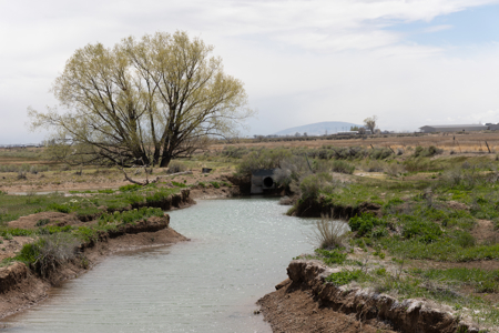 Colorado Alfalfa Farm and Waterfowl Duck Hunting Property - image 9